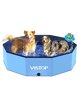 Blue dog pool with a child and dog playing in the backyard