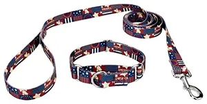 Country Brook Petz Spirit of '76 Martingale collar and leash set on a dog