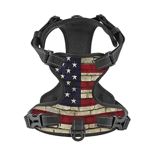 Groamaup vintage American flag reflective dog harness on a small dog