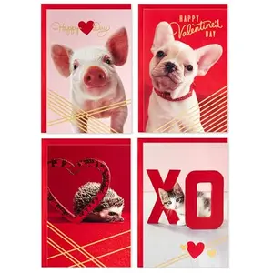 Hallmark Valentine's Day cards with cute animal designs like puppies, kittens, pigs, and hedgehogs with envelopes