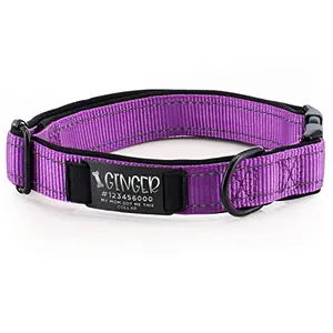 USA Custom Gifts personalized dog collar with custom engraved metal ID nameplate and reflective stitching