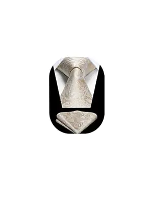 HISDERN champagne gold paisley necktie and pocket square set
