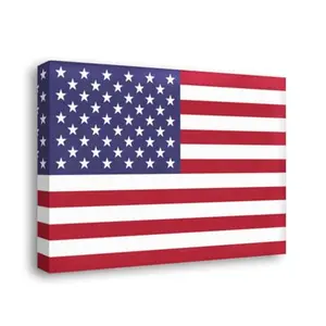 Generic American flag canvas print on living room wall