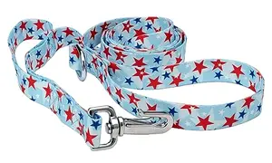 Country Brook Design American Celebration dog leash with red, white, and blue stars and dual handles
