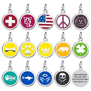 Leash King large stainless steel pet ID tag with crown mascot design