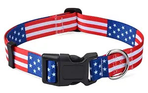 Mihqy American flag dog collar on a dog