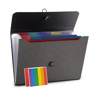 Nicfaec 13-Pocket Accordion File Folder in grey with rainbow tabs