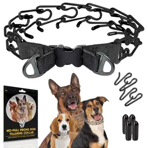 PetJett black stainless steel prong collar with quick release buckle on a mid-size dog