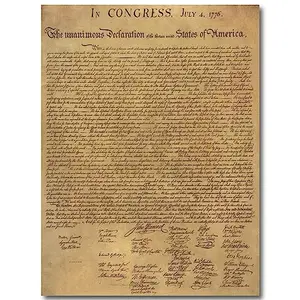 Young N Refined Declaration of Independence laminated poster