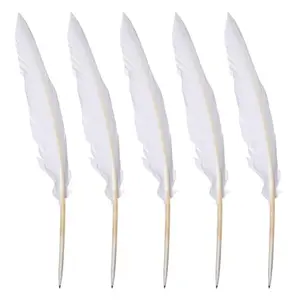 UUYYEO 10-pack white feather dip pens for 1776 themed parties