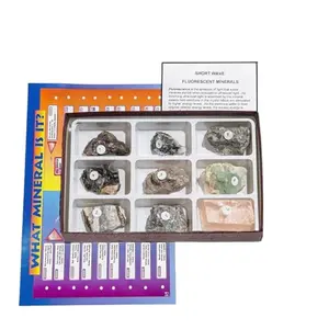 GSC International Fluorescent Minerals Kit with nine glowing rocks