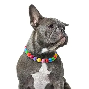 JOGIA Rainbow Beaded Dog Collar with colorful beads on a dog