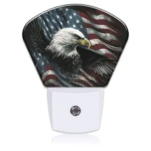 Uiaoiais American Flag and Bald Eagle plug-in night light with dusk to dawn sensor in a kids room
