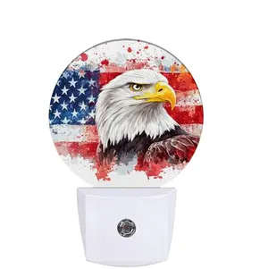 COSHARKLY Watercolor American Flag Eagle plug-in night light in a bathroom