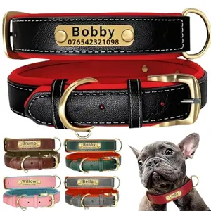 TSD personalized leather dog collar and leash set with custom engraved nameplate