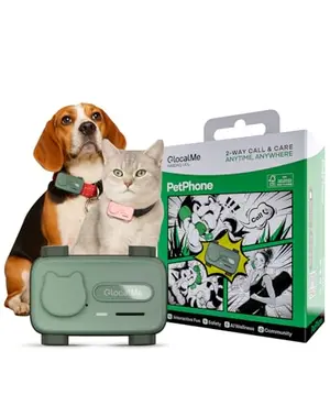 GlocalMe PetPhone pet tracker on dog collar