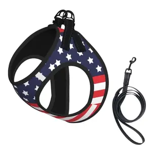 American Star Flag reflective dog harness with matching leash on a dog during a walk