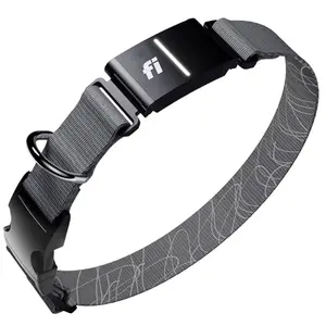 Fi Series 3+ GPS dog tracker collar on dog