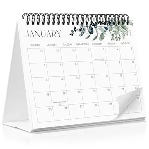 ZICOTO Aesthetic Greenery Desk Calendar 2026-2027