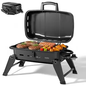 MASTER COOK portable propane grill with foldable legs on a picnic table