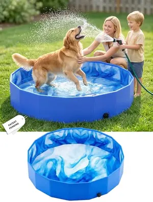 Small blue dog pool with a quicksand-patterned bottom and a puppy inside