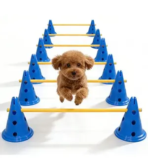Toplamper dog agility course backyard set with 12 inch cones and rods
