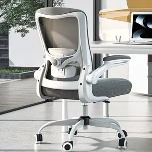 Grey Zeonsit high-back desk chair with adjustable lumbar and breathable mesh