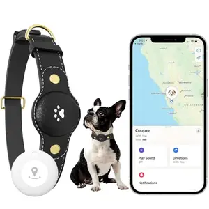 BOMERAHE GPS dog tracking collar on dog