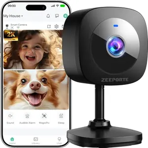 ZEEPORTE black 2K indoor security camera compact