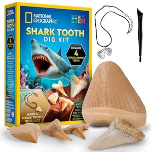 National Geographic shark tooth dig kit