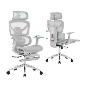 Light grey Cozyman office chair with 3D headrest, 4D arms, and retractable footrest
