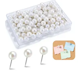 Vintrex pearl white push pins in clear case
