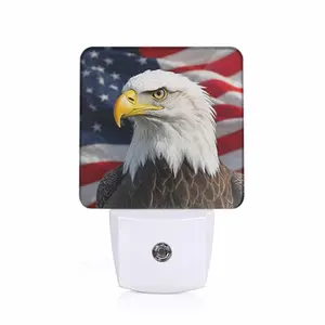 CNupgoS American Flag and Bald Eagle plug-in night light in a kids room