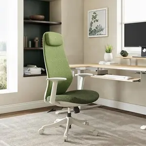 EUREKA ERGONOMIC green mesh office chair with headrest