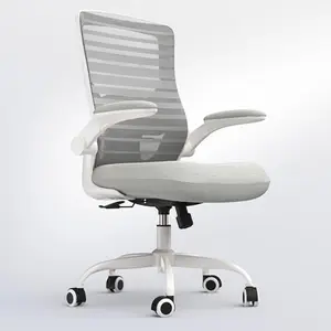 Light gray QLTPLUS ergonomic chair with padded lumbar support and flip-up armrests